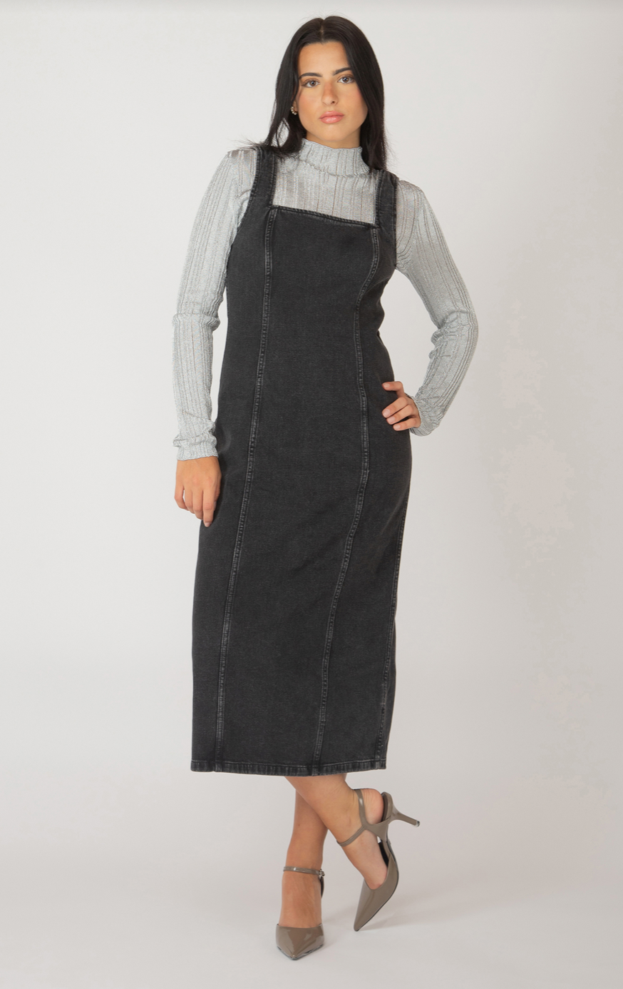 Dex | Panelled Denim Midi Dress