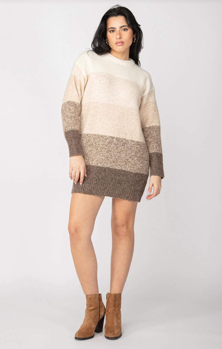 Dex | Colorblock Sweater Dress